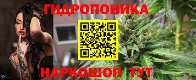 МДПВ Гусев