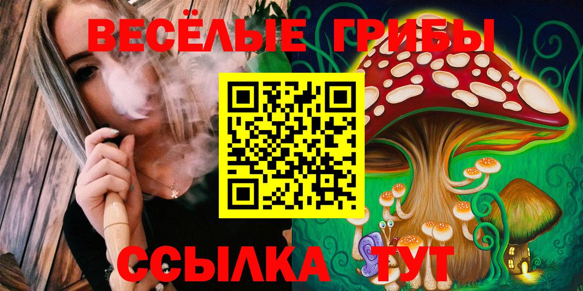 где найти   Галлюциногенные грибы GOLDEN TEACHER  Вход с VPN  Малоярославец 